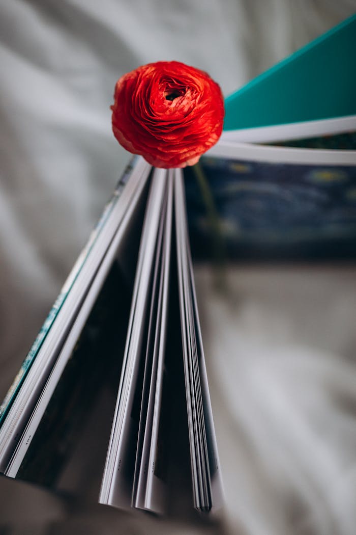 A vibrant red flower rests artistically on the open pages of a book.